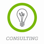 Consulting Services